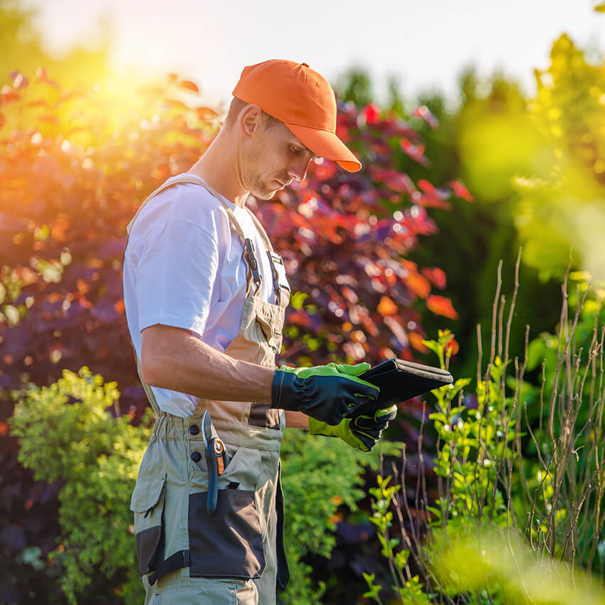 blade lawn care, Winter Maintenance Services, EDGING AND FLOWERBED SERVICES, FALL CLEANUP, LAWN CARE,