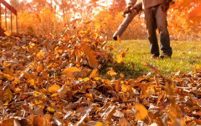 The Ultimate Guide to Fall Cleanup Services