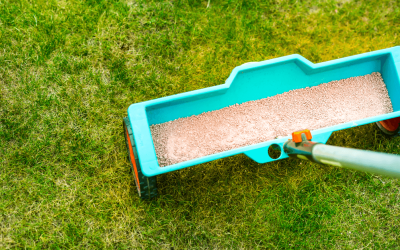 From Patchy to Pristine: How Our Fertilization Service Transforms Your Lawn