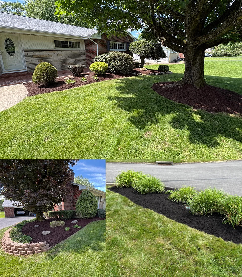 lawn-care-services-main-page Blade Lawn Care Lawn Services