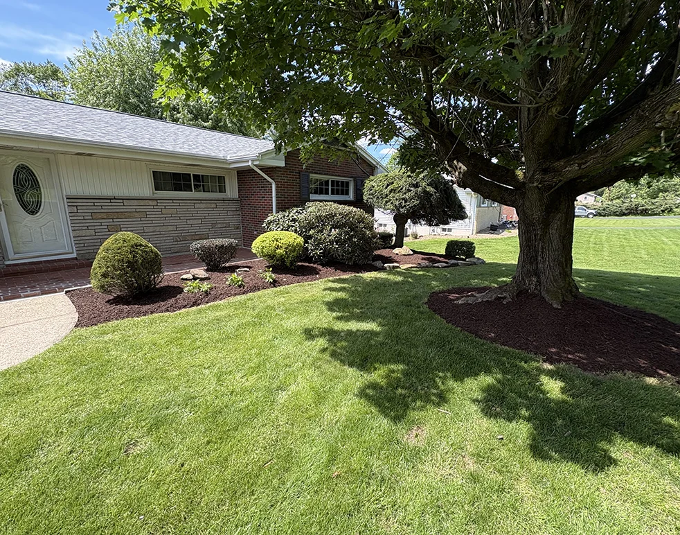 lawn-mowing-weeding-main blade lawn care, Custom Lawn Care Services, Lawn Mowing Service