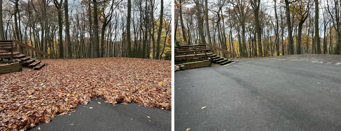 Blade Cares Leaf Removal and Cleanup