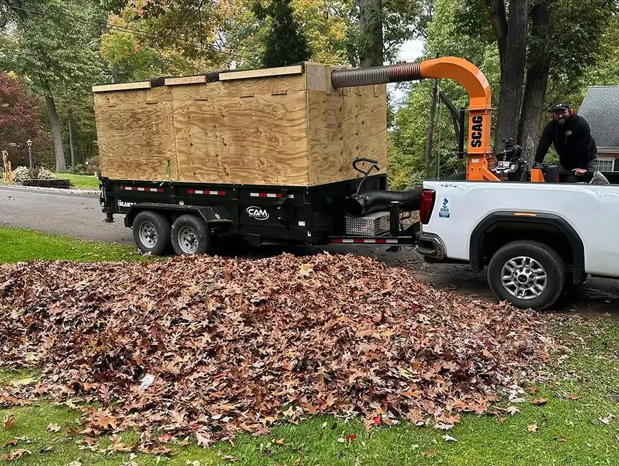 leaf-cleanup-blade-cares1 Blade Cares Leaf Removal and Cleanup