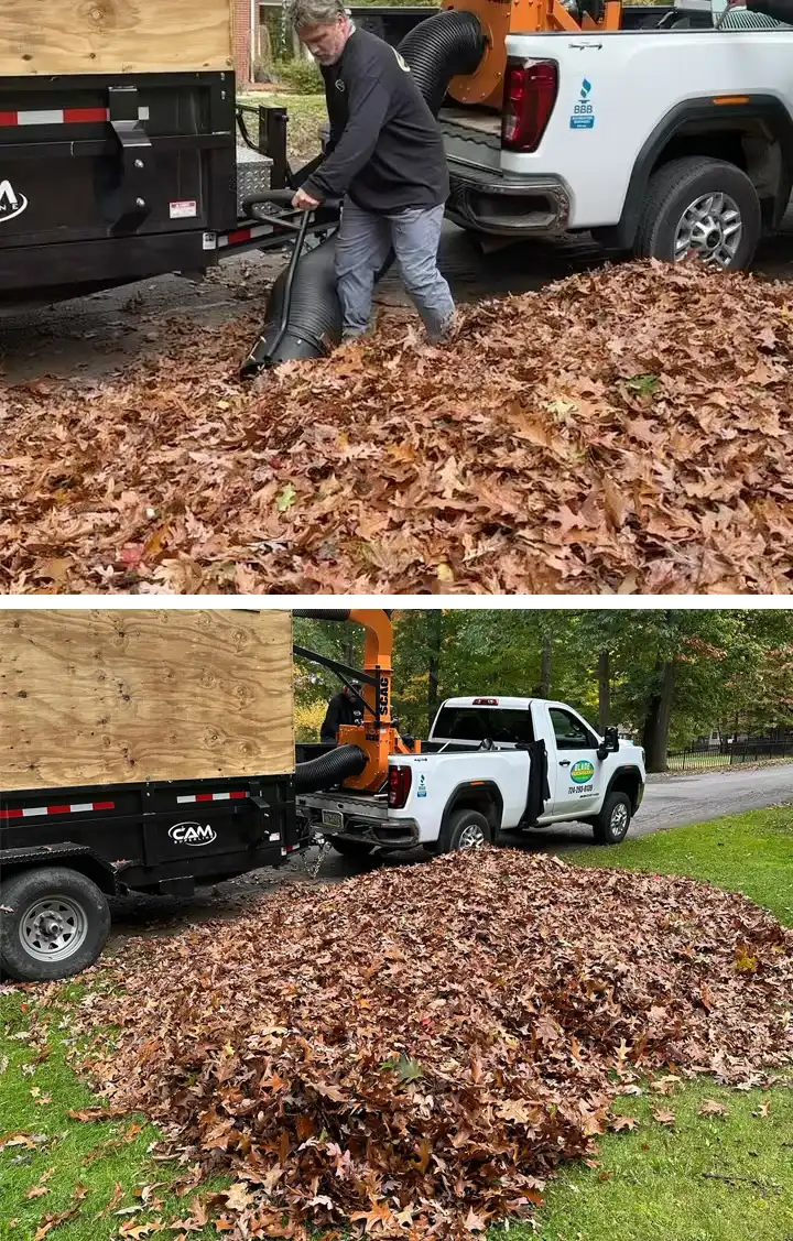 leaf-cleanup-blade-cares2 Fall Leaf Removal