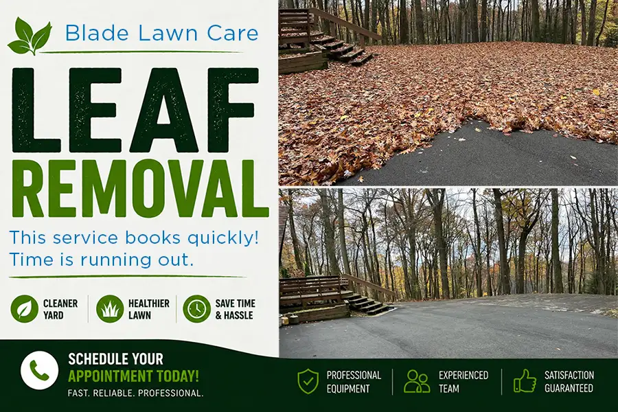 Blade Lawn Care Fall Leaf Removal